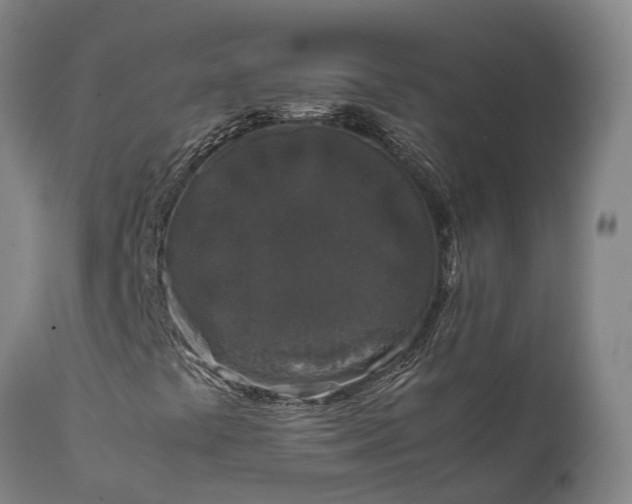 X0000111631441200907311215