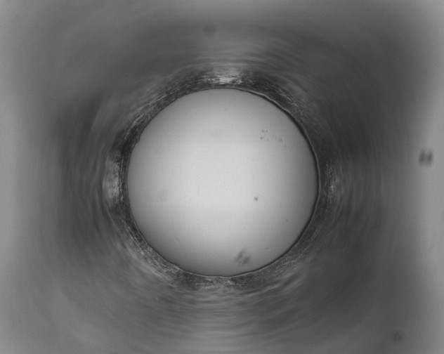 X0000111631442200907311215