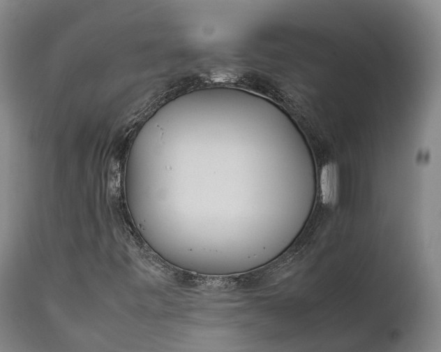 X0000111631443200907311215