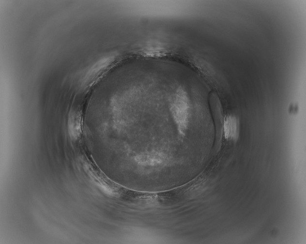 X0000111631444200907311215