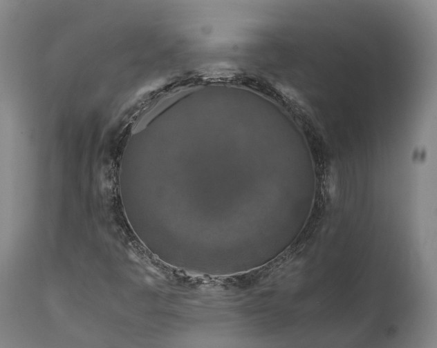 X0000111631445200907311215