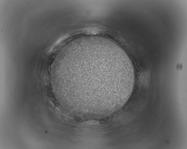 X0000111631446200907311215