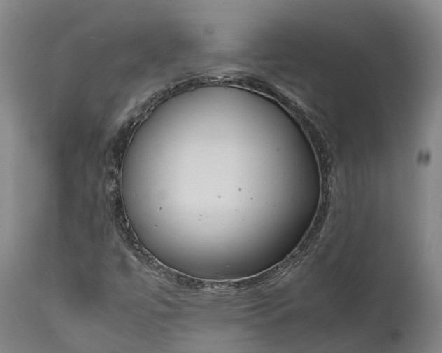 X0000111631447200907311215