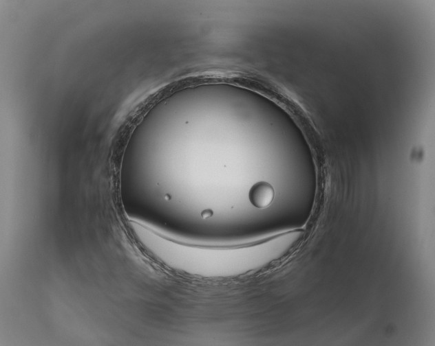 X0000111631448200907311215