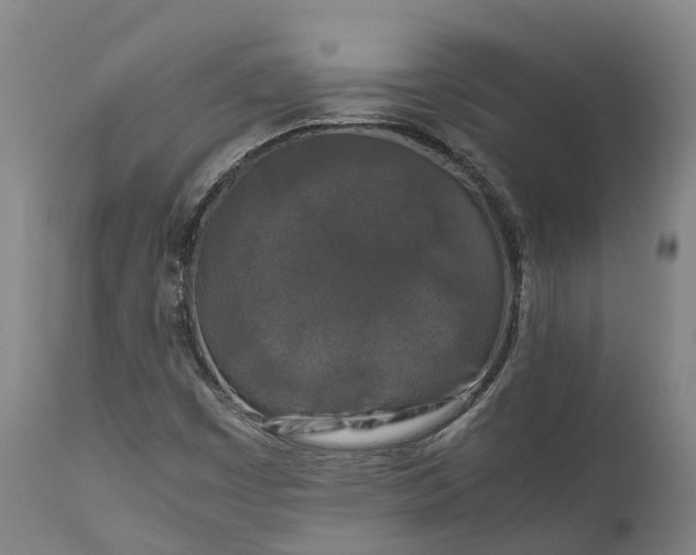 X0000111631449200907311215