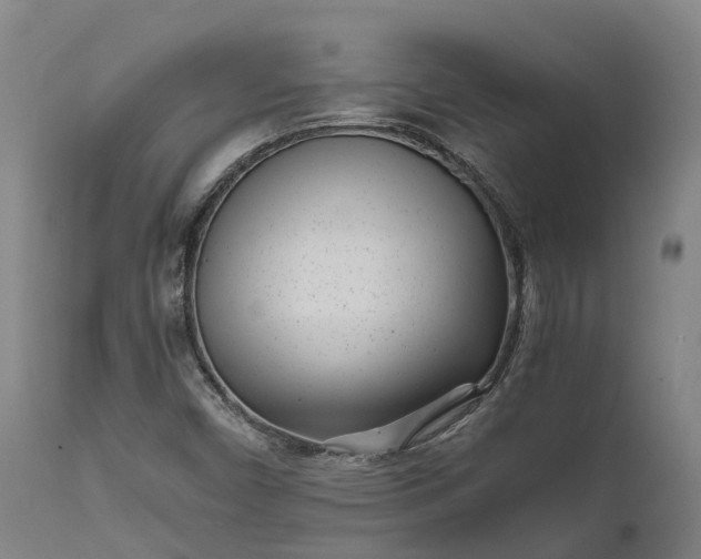 X0000111631450200907311215