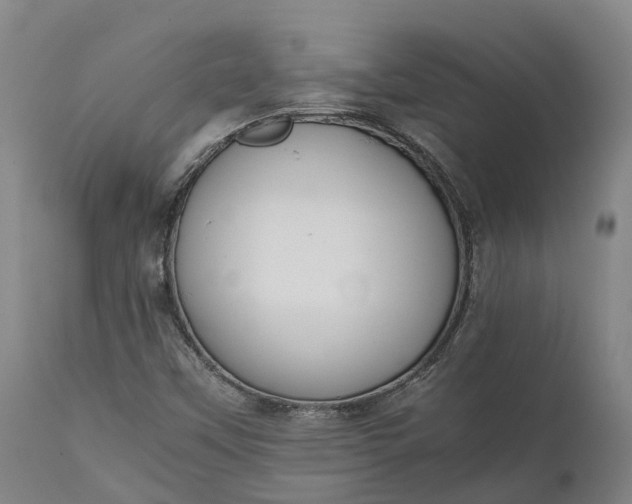 X0000111631451200907311215