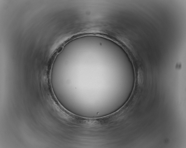 X0000111631452200907311215