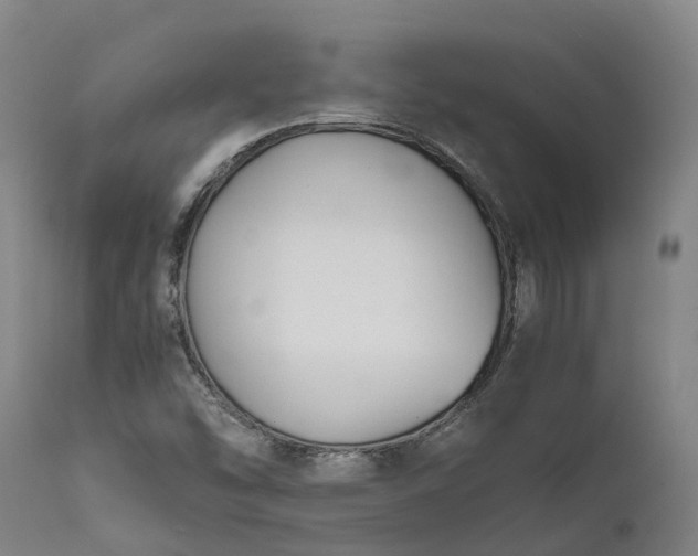 X0000111631454200907311215