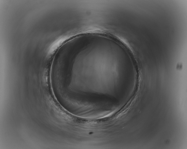 X0000111631455200907311215