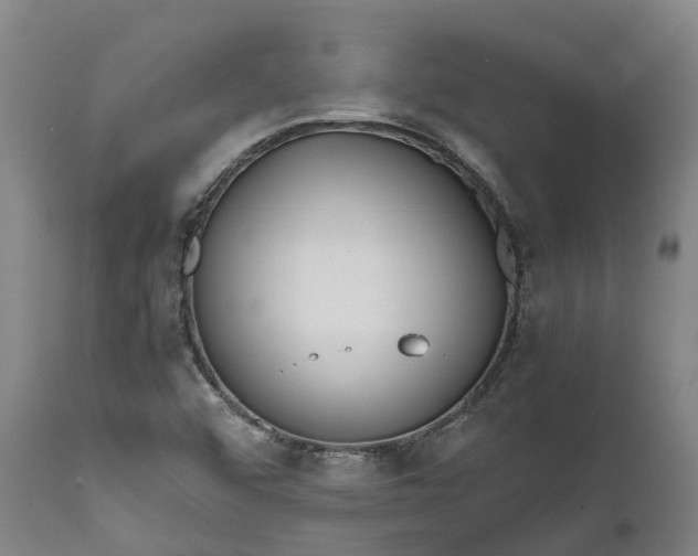 X0000111631456200907311215