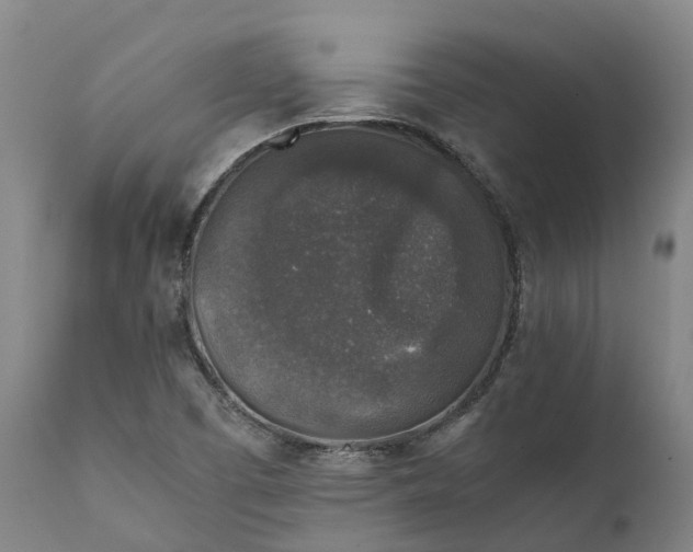 X0000111631457200907311215