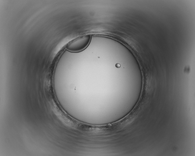 X0000111631458200907311215