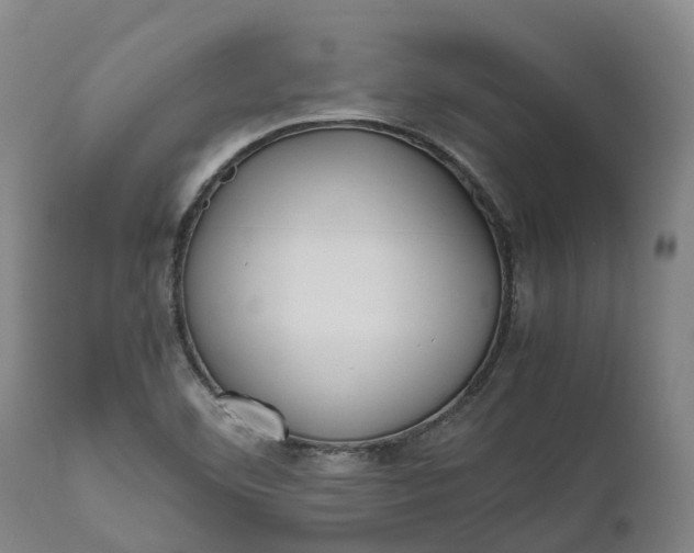 X0000111631460200907311215