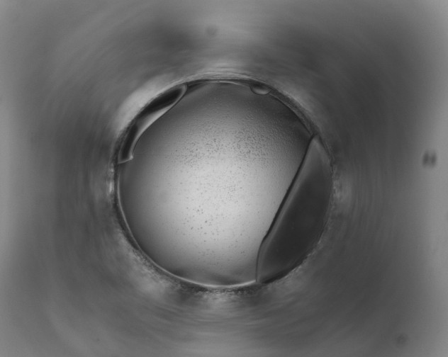 X0000111631461200907311215