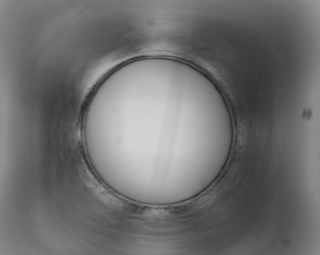 X0000111631462200907311215