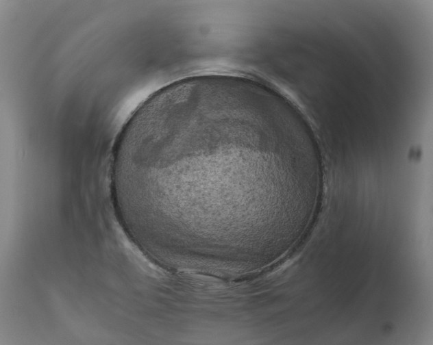 X0000111631463200907311215