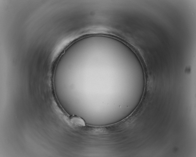 X0000111631464200907311215