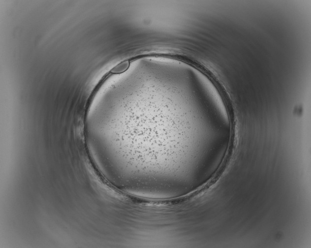 X0000111631465200907311215