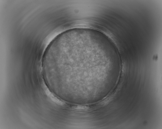 X0000111631466200907311215