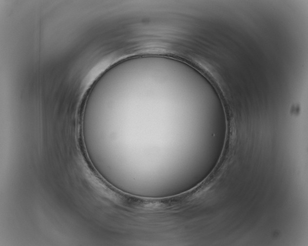 X0000111631467200907311215