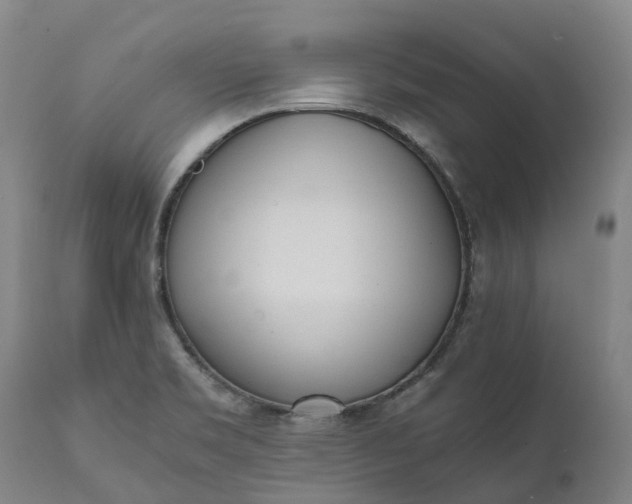 X0000111631469200907311215