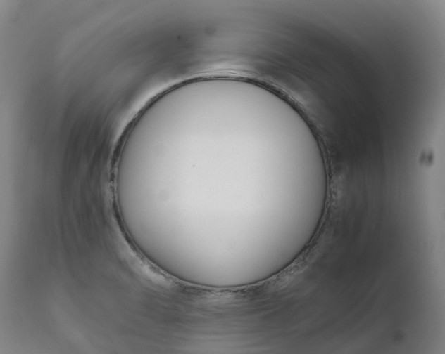 X0000111631470200907311215