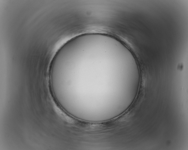 X0000111631471200907311215