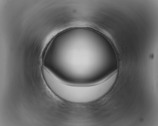 X0000111631472200907311215