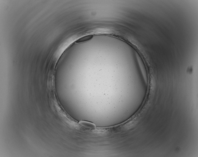 X0000111631473200907311215