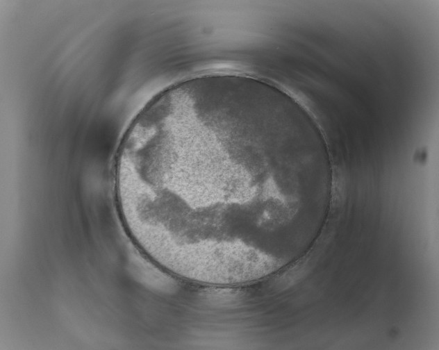 X0000111631474200907311215