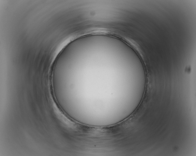 X0000111631475200907311215