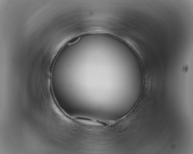 X0000111631476200907311215