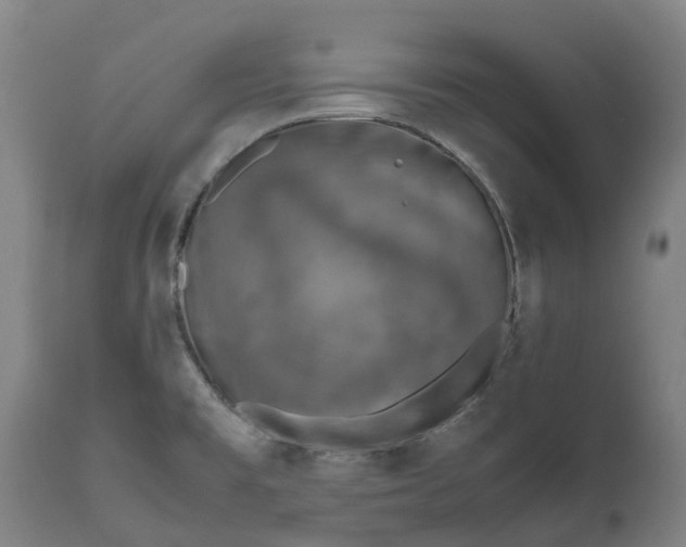 X0000111631477200907311215