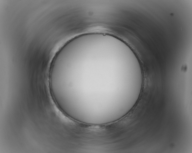 X0000111631478200907311215