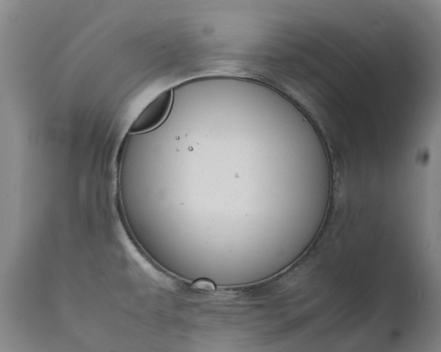 X0000111631479200907311215