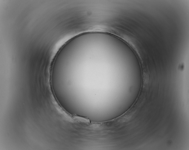 X0000111631480200907311215