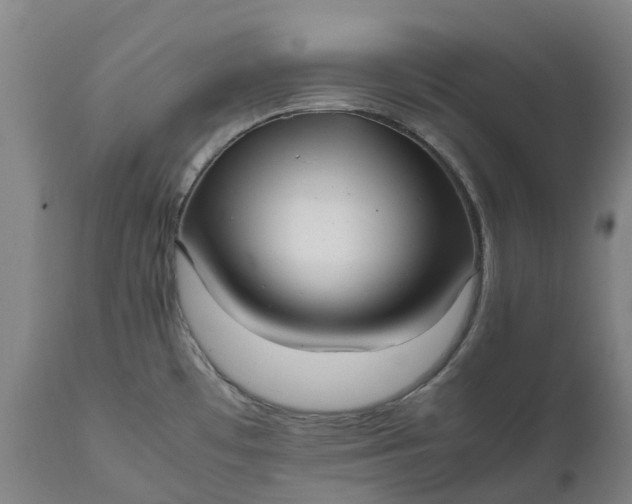 X0000111631481200907311215