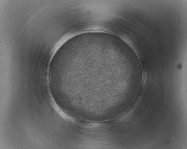 X0000111631482200907311215