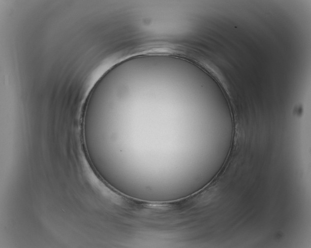 X0000111631483200907311215