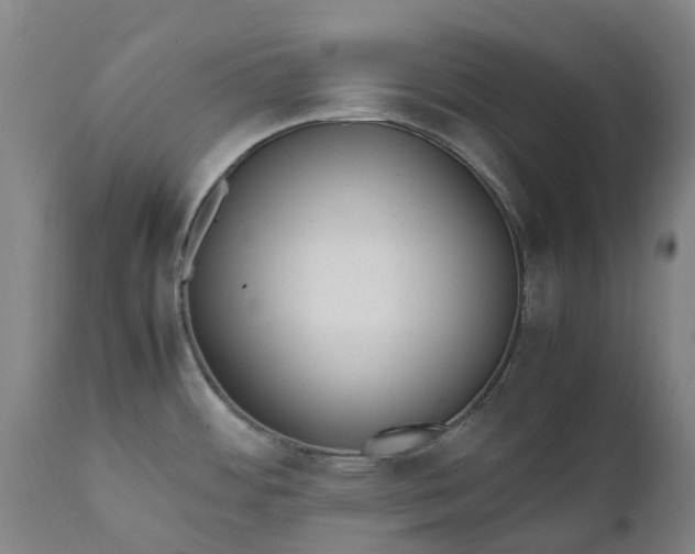 X0000111631484200907311215