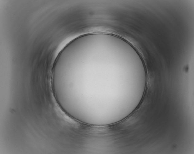 X0000111631486200907311215