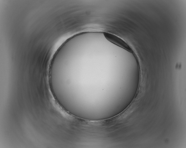 X0000111631488200907311214