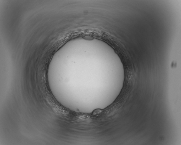 X0000111631489200907311214