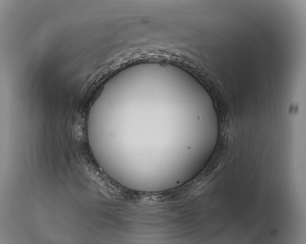 X0000111631490200907311214