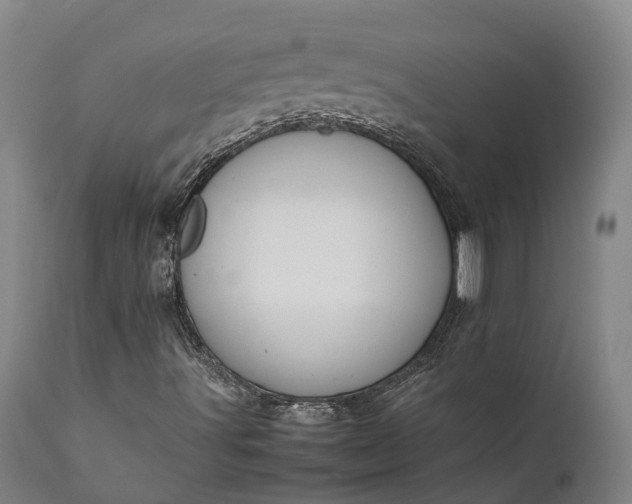 X0000111631491200907311214