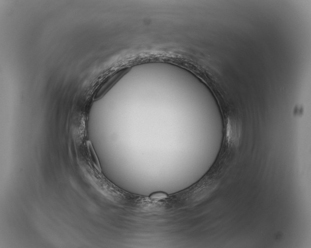 X0000111631492200907311214