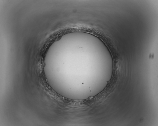 X0000111631493200907311214