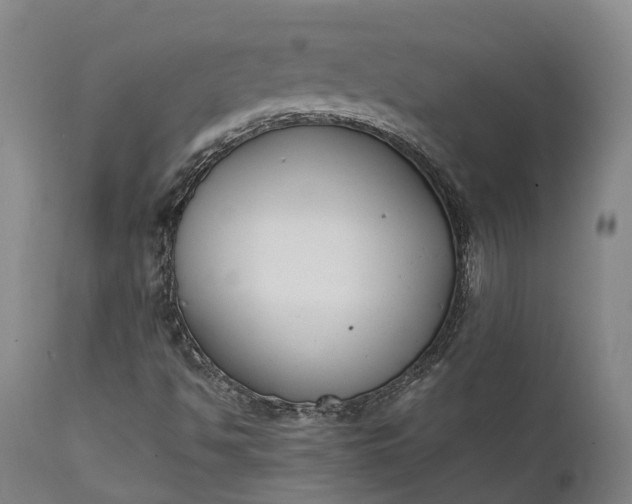 X0000111631494200907311214