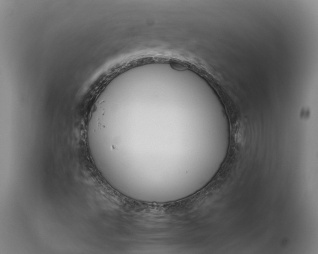 X0000111631495200907311214